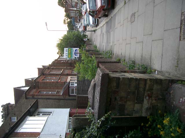 IMGP1613